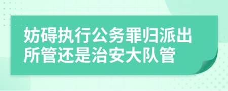 妨碍执行公务罪归派出所管还是治安大队管