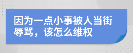 因为一点小事被人当街辱骂，该怎么维权