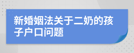 新婚姻法关于二奶的孩子户口问题