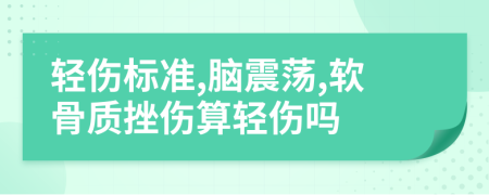 轻伤标准,脑震荡,软骨质挫伤算轻伤吗