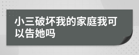 小三破坏我的家庭我可以告她吗