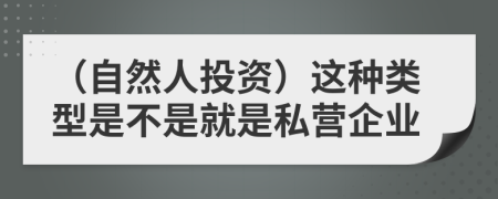 （自然人投资）这种类型是不是就是私营企业