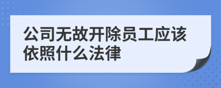 公司无故开除员工应该依照什么法律