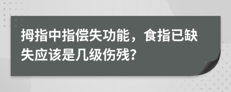 拇指中指偿失功能，食指已缺失应该是几级伤残？