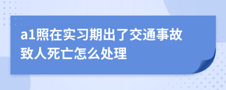 a1照在实习期出了交通事故致人死亡怎么处理