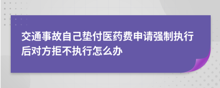 交通事故自己垫付医药费申请强制执行后对方拒不执行怎么办