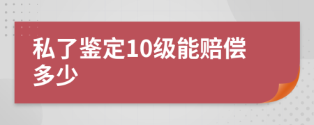 私了鉴定10级能赔偿多少