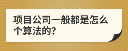 项目公司一般都是怎么个算法的？