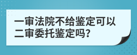 一审法院不给鉴定可以二审委托鉴定吗？