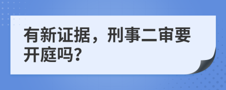 有新证据，刑事二审要开庭吗？