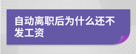 自动离职后为什么还不发工资