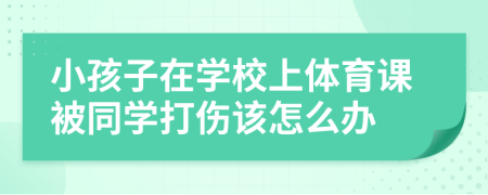 小孩子在学校上体育课被同学打伤该怎么办