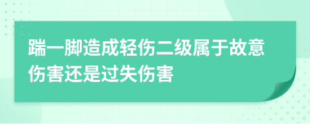 踹一脚造成轻伤二级属于故意伤害还是过失伤害