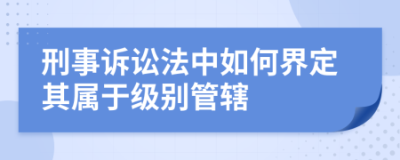 刑事诉讼法中如何界定其属于级别管辖