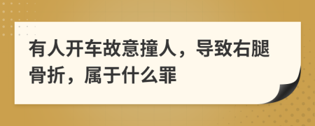 有人开车故意撞人，导致右腿骨折，属于什么罪
