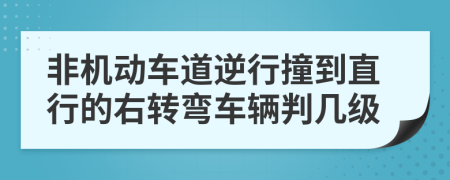 非机动车道逆行撞到直行的右转弯车辆判几级