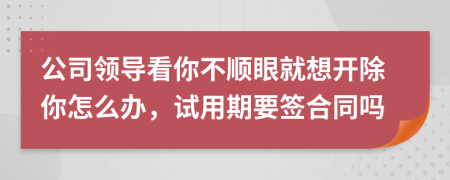 公司领导看你不顺眼就想开除你怎么办，试用期要签合同吗