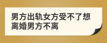 男方出轨女方受不了想离婚男方不离