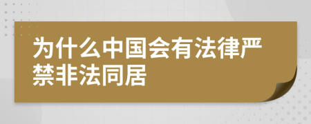 为什么中国会有法律严禁非法同居