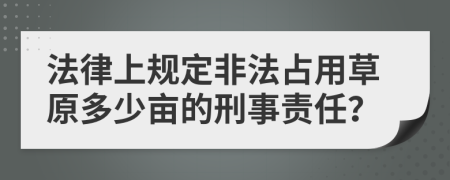 法律上规定非法占用草原多少亩的刑事责任？