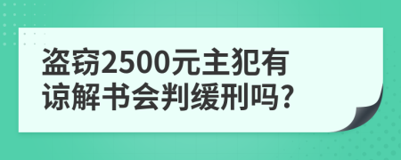 盗窃2500元主犯有谅解书会判缓刑吗?