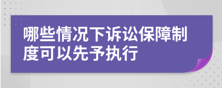 哪些情况下诉讼保障制度可以先予执行