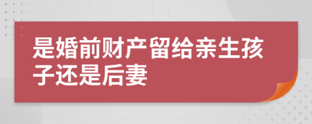 是婚前财产留给亲生孩子还是后妻