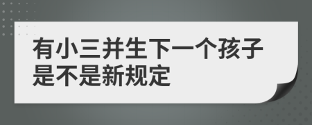 有小三并生下一个孩子是不是新规定