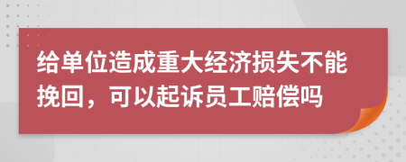 给单位造成重大经济损失不能挽回，可以起诉员工赔偿吗