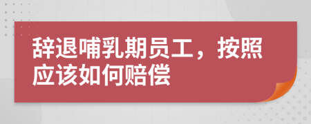 辞退哺乳期员工，按照应该如何赔偿