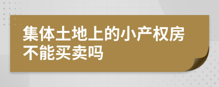 集体土地上的小产权房不能买卖吗