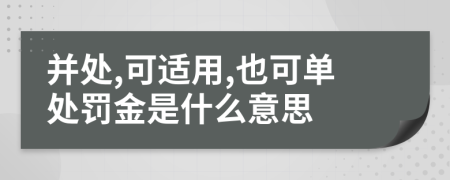 并处,可适用,也可单处罚金是什么意思