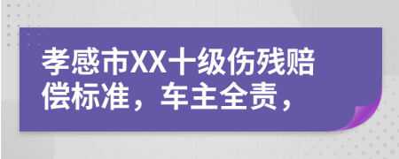 孝感市XX十级伤残赔偿标准，车主全责，