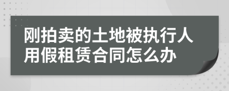 刚拍卖的土地被执行人用假租赁合同怎么办