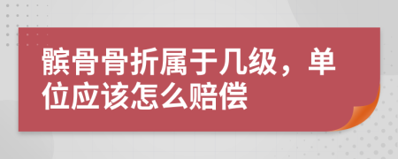 髌骨骨折属于几级，单位应该怎么赔偿