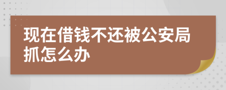 现在借钱不还被公安局抓怎么办