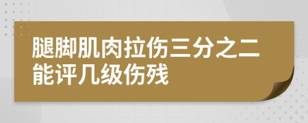 腿脚肌肉拉伤三分之二能评几级伤残