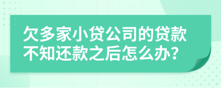 欠多家小贷公司的贷款不知还款之后怎么办？