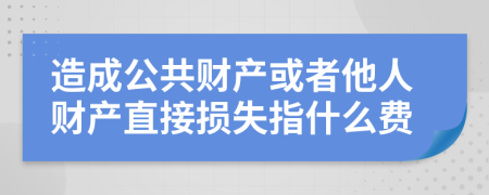 造成公共财产或者他人财产直接损失指什么费