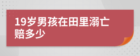 19岁男孩在田里溺亡赔多少