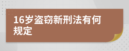 16岁盗窃新刑法有何规定