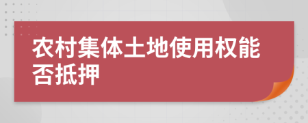 农村集体土地使用权能否抵押