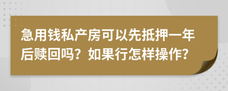 急用钱私产房可以先抵押一年后赎回吗？如果行怎样操作？