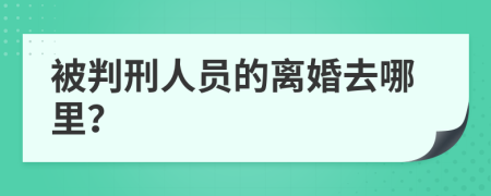 被判刑人员的离婚去哪里？