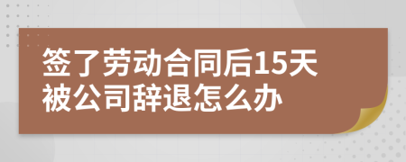 签了劳动合同后15天被公司辞退怎么办