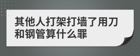 其他人打架打墙了用刀和钢管算什么罪