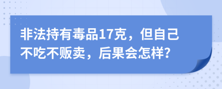 非法持有毒品17克，但自己不吃不贩卖，后果会怎样？