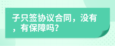 子只签协议合同，没有，有保障吗？