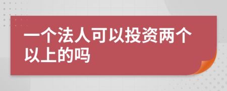 一个法人可以投资两个以上的吗