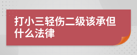 打小三轻伤二级该承但什么法律